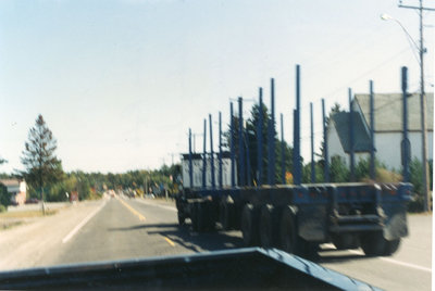 Native Land Rights Protest, Iron Bridge, 1992