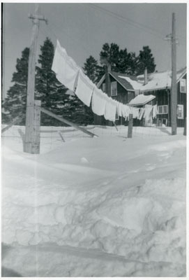 Baxter Farm House, Iron Bridge, 1960