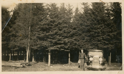 Harry Tulloch, Iron Bridge, Circa 1930