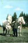 Joe LePage With Logging Horses, 1947