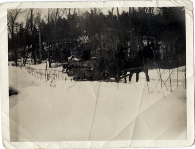 Load of Logs, Crazy Wheel Camp, Circa 1900