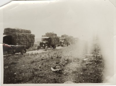 Pierce Arrows Hauling Hay, Circa 1930