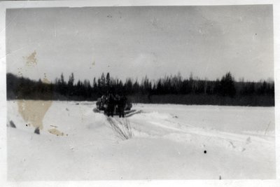 Logging Team, Circa 1930