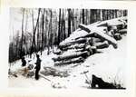 Men Moving Logs, Circa 1940