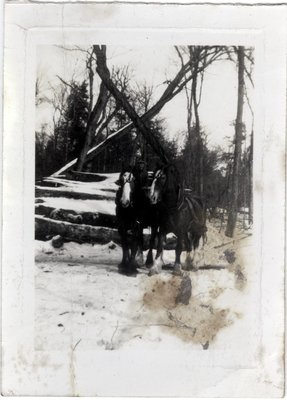 Horses at Mill, Circa 1940