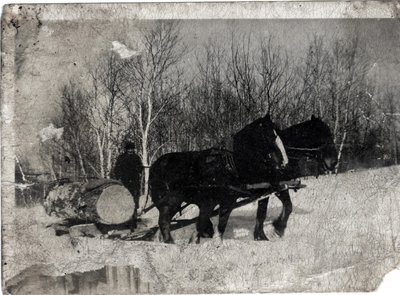 Joe LePage With Team of Dunn Horses, Circa 1940