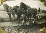 Samuel Charles Gardiner with Team of Horses, Circa 1900