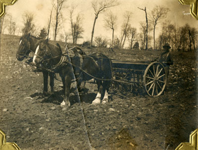 Bert Gardiner Planting, Circa 1905