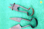 Sheep Shears