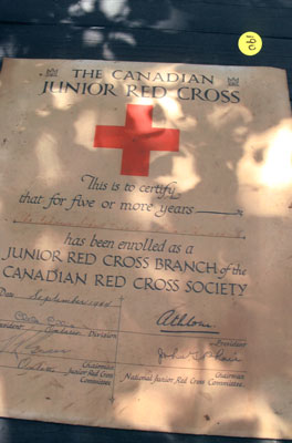 Red Cross Certificate- Ashdown School Branch