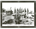 Bustard Islands Fishing Fleet 1896