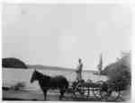 Harry MacKay driving a horse and cart at Fairyport, Fairy Lake, Huntsville, Ontario.