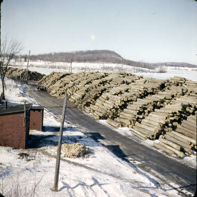 Logs piled along Hunter's Bay, property of Muskoka Wood Products, Huntsville, Ontario. c1950.                                                     Ltd., Huntsville,Ont.