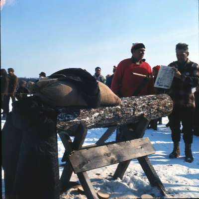 Log sawing contest near Huntsville, Ontario, 1966.