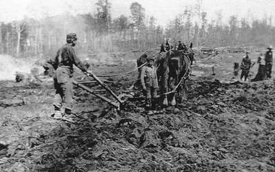 Breaking up the land to wrestle a living from the Muskoka bush.