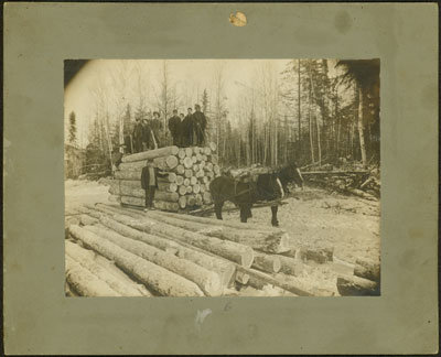 Logging