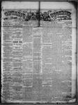 Ontario Observer (Port Perry), 14 Jun 1866