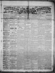 Ontario Observer (Port Perry), 21 Jun 1866