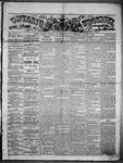 Ontario Observer (Port Perry), 2 Aug 1866