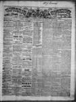 Ontario Observer (Port Perry), 22 Nov 1866