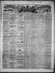 Ontario Observer (Port Perry), 29 Nov 1866