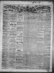 Ontario Observer (Port Perry), 13 Dec 1866