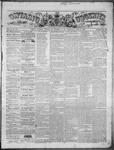 Ontario Observer (Port Perry), 21 Nov 1867