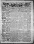 Ontario Observer (Port Perry), 28 Nov 1867