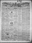 Ontario Observer (Port Perry), 18 Jun 1868