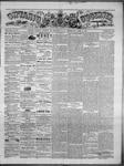 Ontario Observer (Port Perry), 3 Jun 1869