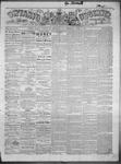 Ontario Observer (Port Perry), 17 Jun 1869