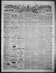 Ontario Observer (Port Perry), 15 Jun 1871