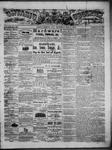 Ontario Observer (Port Perry), 1 May 1873