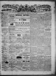 Ontario Observer (Port Perry), 5 Jun 1873