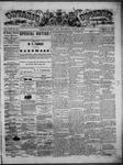Ontario Observer (Port Perry), 19 Jun 1873