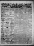 Ontario Observer (Port Perry), 26 Jun 1873