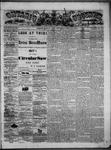 Ontario Observer (Port Perry), 10 Jul 1873