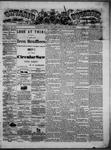 Ontario Observer (Port Perry), 17 Jul 1873