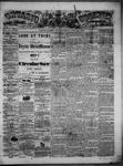 Ontario Observer (Port Perry), 24 Jul 1873