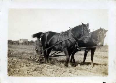 Travaux agricole