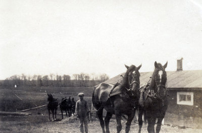 Pierre Primeaux et ses chevaux