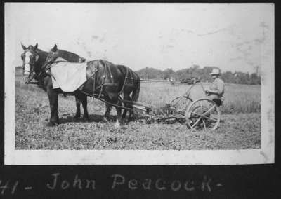 John Peacock