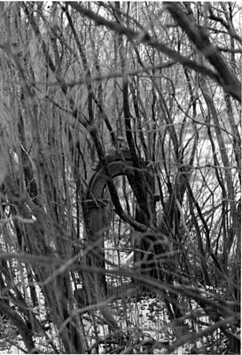 Pioneer cemetery, Bronte St., Milton prior to restoration