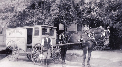 Mount Dairy Milk Delivery