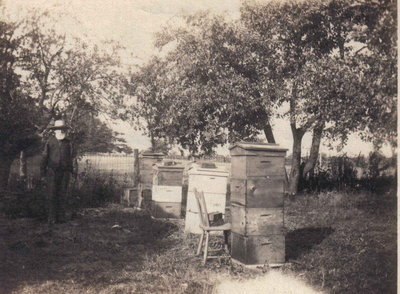 William Cunningham in his bee yard