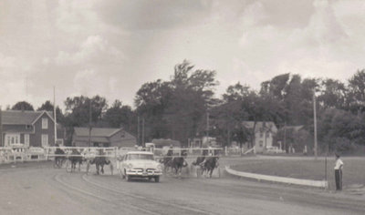 Horse racing at the Milton Fairgrounds