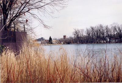 Millpond facing south