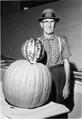 Fall Fair, Milton.  Largest pumpkin in show.