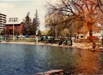 Opening of the trout season, Mill Pond, Milton.
