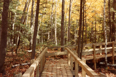 Woods around Crawford's Lake, Campbellville, Ont.